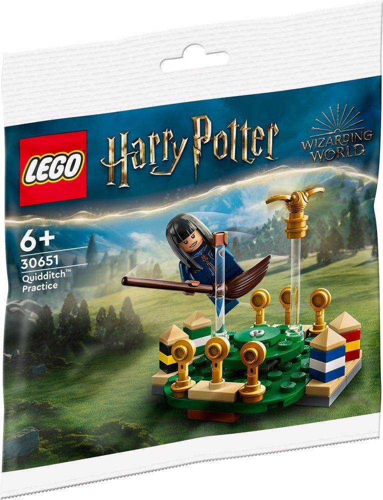 LEGO Harry Potter - L'entraînement de Quidditch - 30651 - Photo 1/1