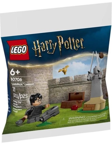 LEGO Harry Potter - La leçon de Quidditch - 30706